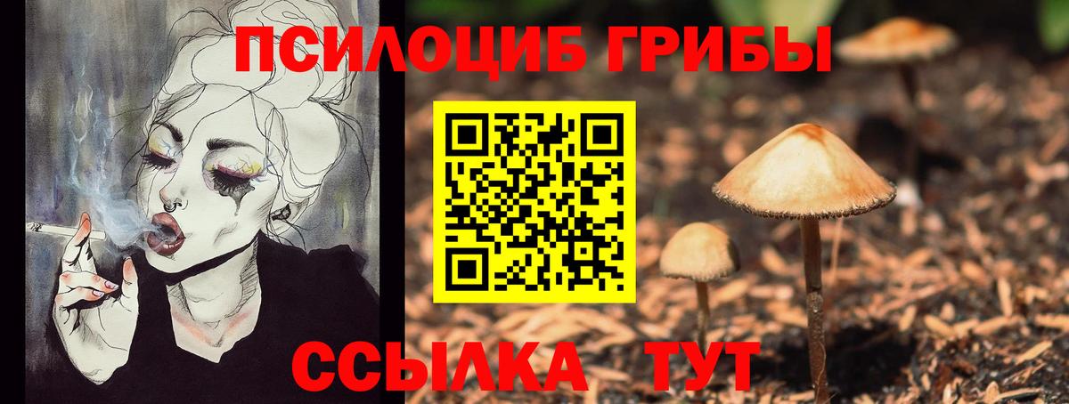 Павловский Посад  Псилоцибиновые грибы ЛСД  Вход с VPN 